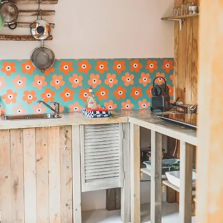 Bed & Breakfast In De Aap - &