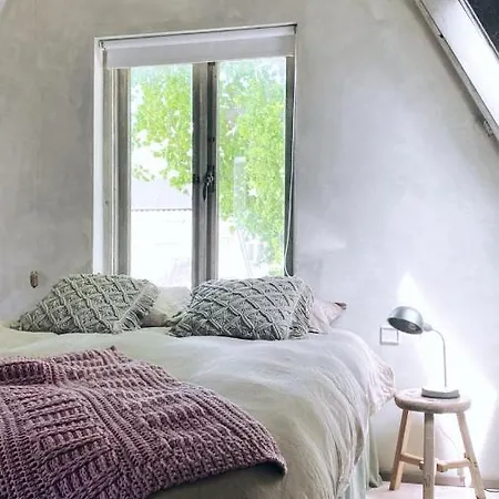 Bed and Breakfast In De Aap - &