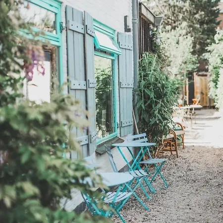 In De Aap - & Bergen