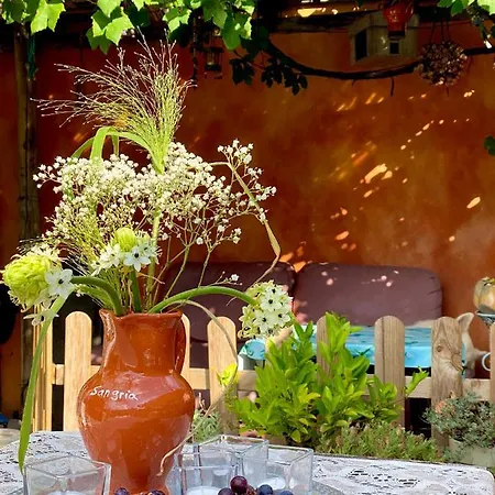 In De Aap - & Bergen