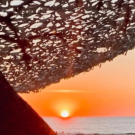 Bed & Breakfast In De Aap - &