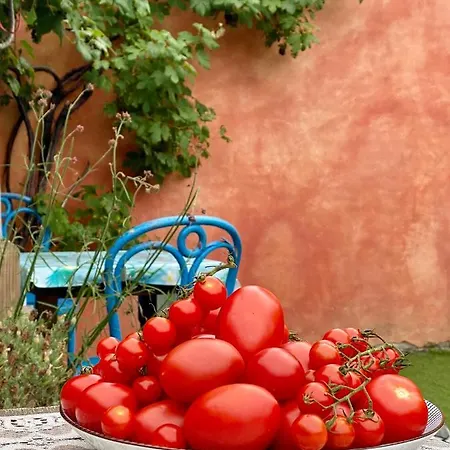 Bed & Breakfast In De Aap - & 4*