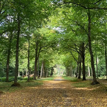In De Aap - & Frühstückspension 4*