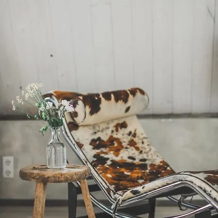 In De Aap - & Bergen