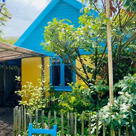 Bed & Breakfast In De Aap - & Bergen