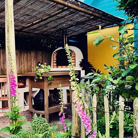 Bed & Breakfast In De Aap - &