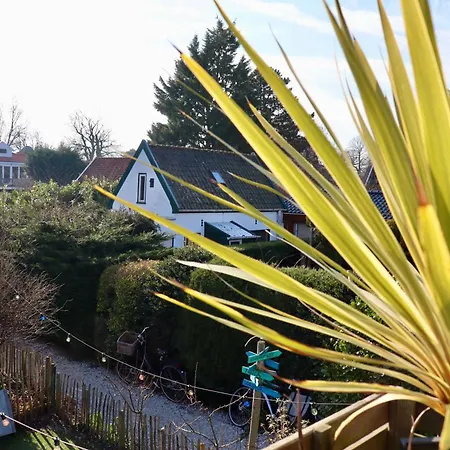 In De Aap - & Bergen