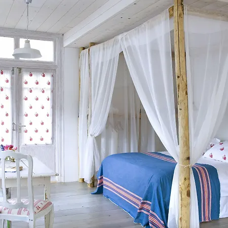 In De Aap - & Bergen