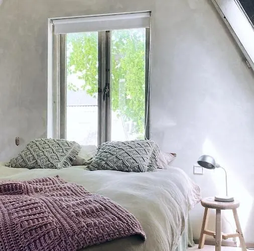 Bed & Breakfast In De Aap - &