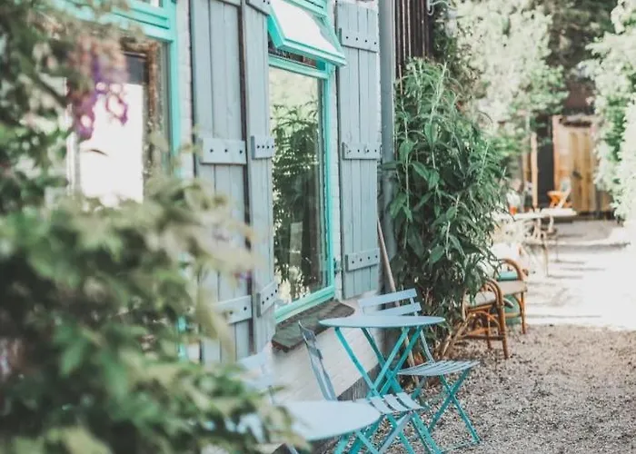 In De Aap - & Bergen