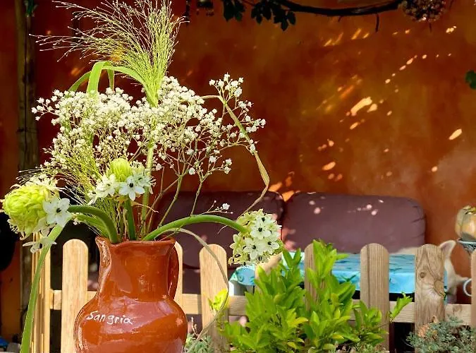 In De Aap - & Bergen