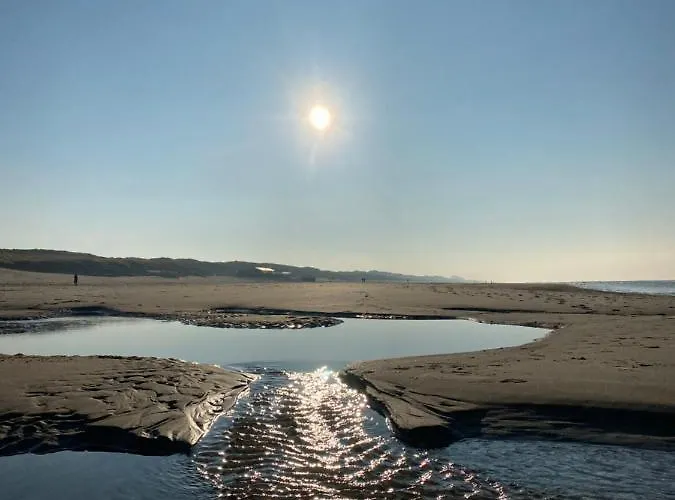 In De Aap - & Bed and breakfast