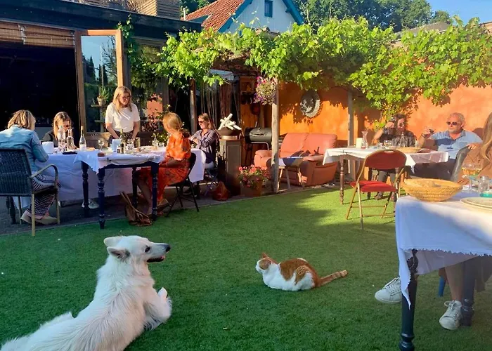 In De Aap - & Bed & Breakfast Bergen