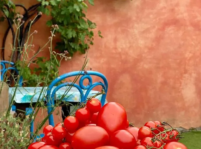 B&B In De Aap - & 4*