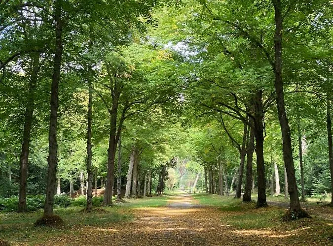 In De Aap - & Bed and breakfast 4*