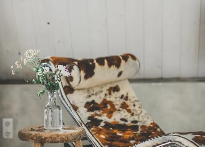 In De Aap - & Bergen