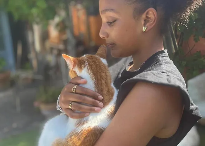 Bed and breakfast In De Aap - & 4*