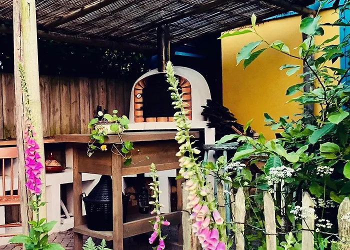 Bed & Breakfast In De Aap - &