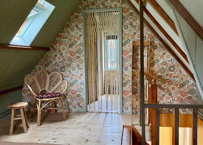 In De Aap - & Bergen