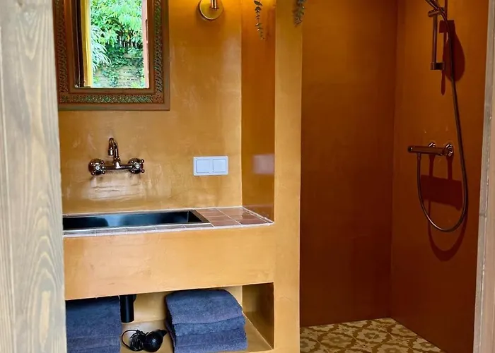 In De Aap - & Bergen