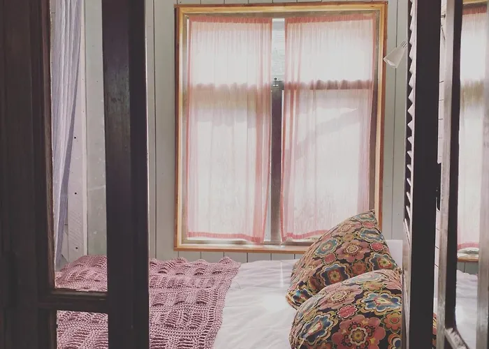 In De Aap - & 4* Bergen