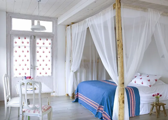 In De Aap - & Bergen