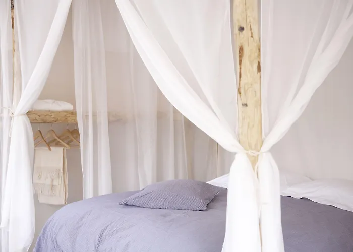 Bed & Breakfast In De Aap - &