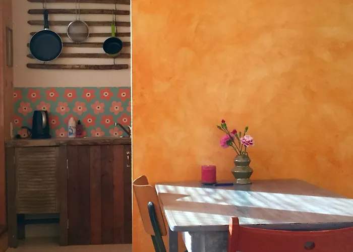 Bed & Breakfast In De Aap - & Bergen