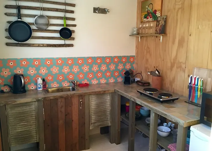 In De Aap - & Bed and breakfast 4*