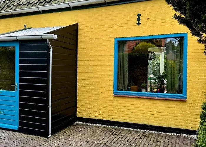 In De Aap - & Bergen