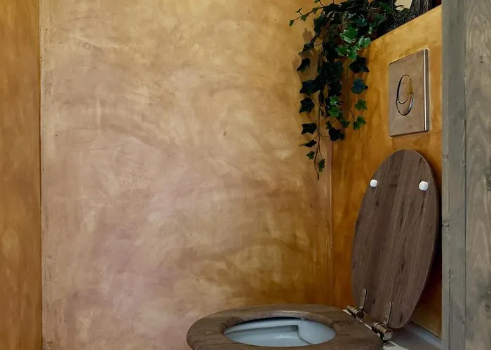 Bed & Breakfast In De Aap - & Bergen