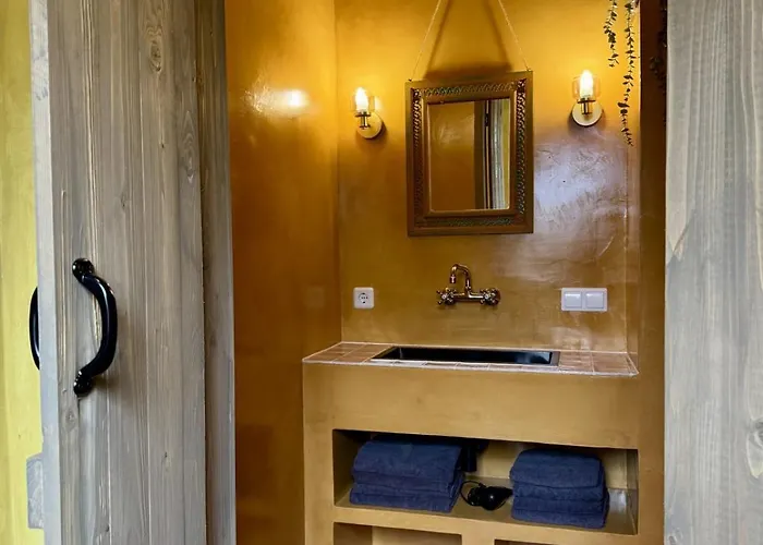 In De Aap - & Bergen