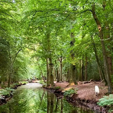 Nocleg ze śniadaniem In De Aap - & 4*