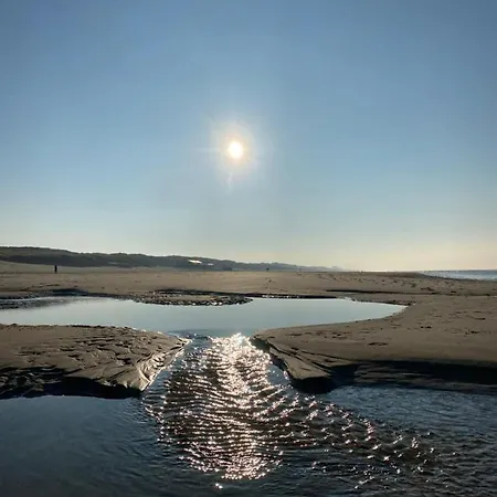 In De Aap - & Nocleg ze śniadaniem