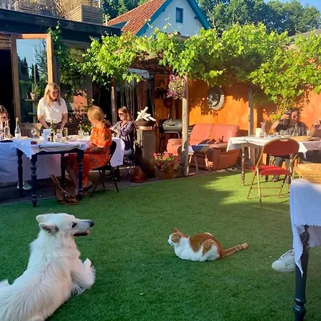 In De Aap - & Nocleg ze śniadaniem Bergen