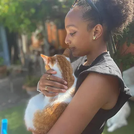 Nocleg ze śniadaniem In De Aap - & 4*