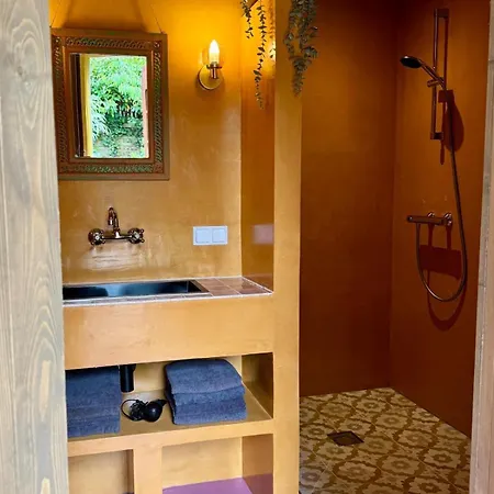 In De Aap - & Bergen