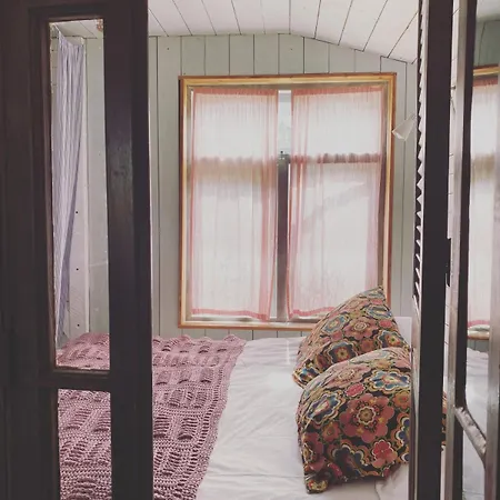 In De Aap - & 4* Bergen