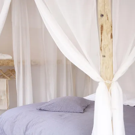 Nocleg ze śniadaniem In De Aap - &