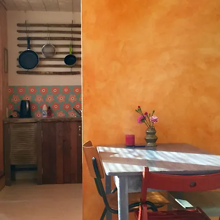 Bed & Breakfast In De Aap - & Bergen